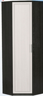 Шкаф для одежды угловой ДЛЯ ГОСТИНОЙ ШОУ-695 Венге/Дуб выбеленный в Нерюнгри - neryungri.mebel54.com | фото